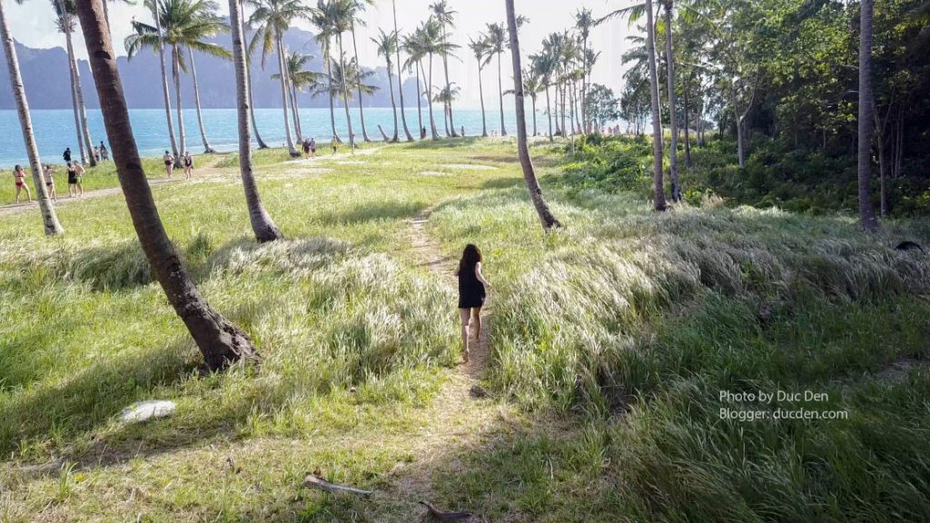 Cánh đồng cỏ trên đảo Pinagbuytan đây | Du lịch El Nido